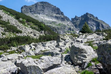 Amazing Summer landscape of Rila Mountain near Malyovitsa peak, Bulgaria