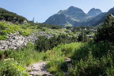 Amazing Summer landscape of Rila Mountain near Malyovitsa peak, Bulgaria