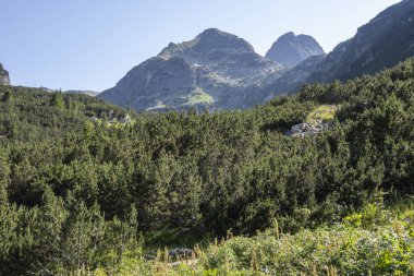 Amazing Summer landscape of Rila Mountain near Malyovitsa peak, Bulgaria