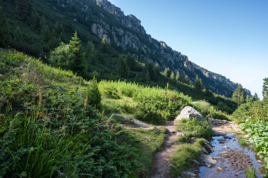 Amazing Summer landscape of Rila Mountain near Malyovitsa peak, Bulgaria