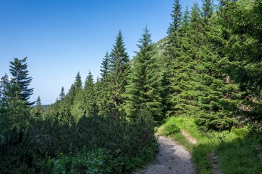 Amazing Summer landscape of Rila Mountain near Malyovitsa peak, Bulgaria