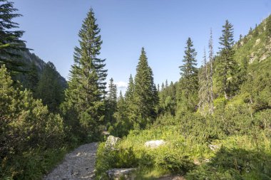 Amazing Summer landscape of Rila Mountain near Malyovitsa peak, Bulgaria