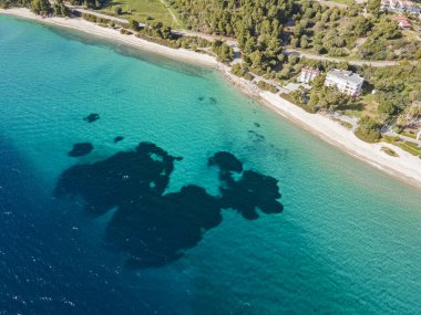 Nikitis Sahili yakınlarındaki Sithonia kıyı şeridi, Chalkidiki, Orta Makedonya, Yunanistan