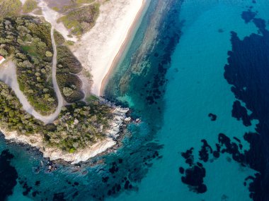 Azapiko Kuzey Sahili yakınlarındaki Sithonia kıyı şeridi, Chalkidiki, Orta Makedonya, Yunanistan