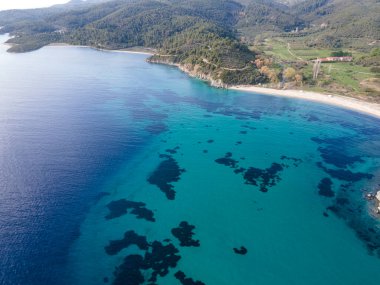 Azapiko Kuzey Sahili yakınlarındaki Sithonia kıyı şeridi, Chalkidiki, Orta Makedonya, Yunanistan