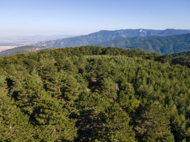 Bulgaristan 'ın Filibe Bölgesi Yavrovo köyü yakınlarındaki Rodopes Dağı' nın hava manzarası