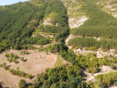 Bulgaristan 'ın Rodop Dağları' ndaki Borovitsa Nehri 'nin şaşırtıcı hava manzarası