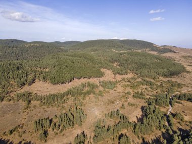 Bulgaristan 'ın Filibe Bölgesi, Rodop Dağları' ndaki Kızıl Duvar Biyosfer rezervinin hava görüntüsü