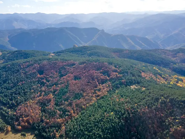 保加利亚普罗夫迪夫地区罗得波山脉红墙生物圈保护区的空中景观 免版税图库图片