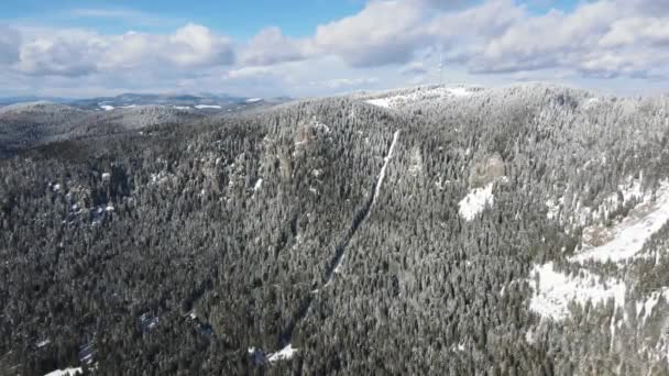 Aerial Winter View Rhodope Mountains Resort Pamporovo Smolyan Region Bulgaria Séquence Vidéo Libre De Droits
