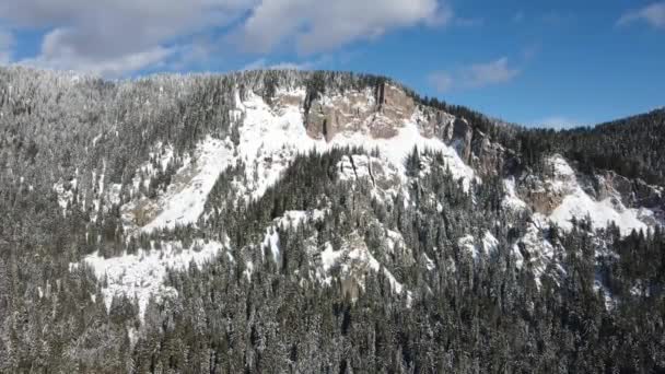 Εναέρια Χειμερινή Άποψη Της Οροσειράς Της Ροδόπης Γύρω Από Θέρετρο — Αρχείο Βίντεο