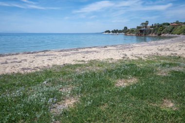 Kastri Sahili yakınlarındaki Sithonia kıyı şeridi, Chalkidiki, Orta Makedonya, Yunanistan