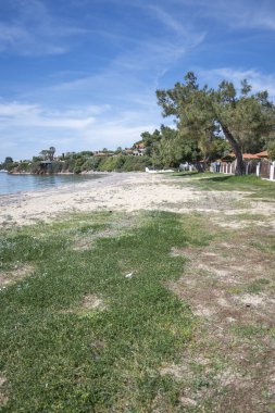 Kastri Sahili yakınlarındaki Sithonia kıyı şeridi, Chalkidiki, Orta Makedonya, Yunanistan