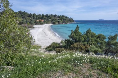 Koviou Sahili yakınlarındaki Sithonia kıyı şeridi, Chalkidiki, Orta Makedonya, Yunanistan