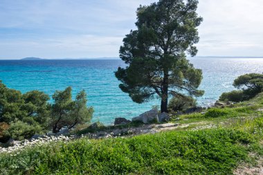 Koviou Sahili yakınlarındaki Sithonia kıyı şeridi, Chalkidiki, Orta Makedonya, Yunanistan