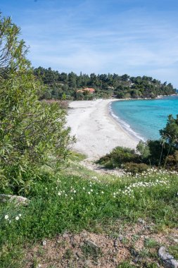 Koviou Sahili yakınlarındaki Sithonia kıyı şeridi, Chalkidiki, Orta Makedonya, Yunanistan