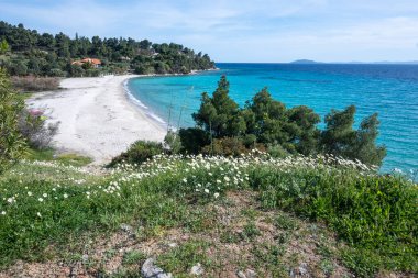 Koviou Sahili yakınlarındaki Sithonia kıyı şeridi, Chalkidiki, Orta Makedonya, Yunanistan