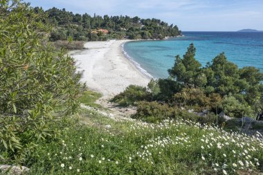 Koviou Sahili yakınlarındaki Sithonia kıyı şeridi, Chalkidiki, Orta Makedonya, Yunanistan