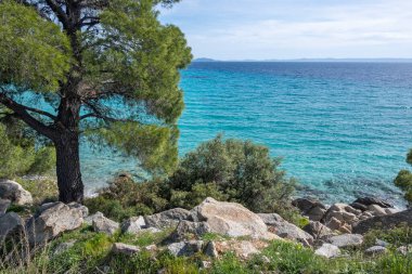Koviou Sahili yakınlarındaki Sithonia kıyı şeridi, Chalkidiki, Orta Makedonya, Yunanistan