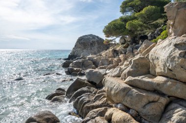 Koviou Sahili yakınlarındaki Sithonia kıyı şeridi, Chalkidiki, Orta Makedonya, Yunanistan