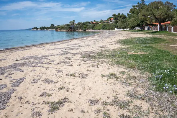 Kastri Sahili yakınlarındaki Sithonia kıyı şeridi, Chalkidiki, Orta Makedonya, Yunanistan