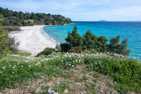 Prachtig Uitzicht Sithonia Kustlijn Bij Koviou Beach Chalkidiki Centraal Macedonië Rechtenvrije Stockafbeeldingen