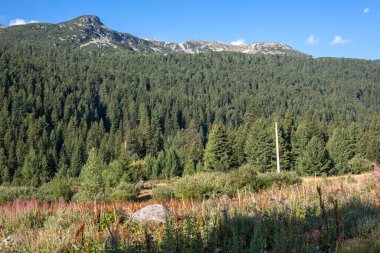 Tiha Rila (Sessiz Rila), Rila Dağı, Bulgaristan 'ın şaşırtıcı manzarası