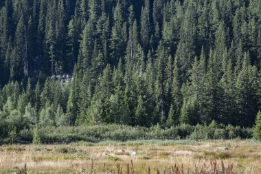 Tiha Rila (Sessiz Rila), Rila Dağı, Bulgaristan 'ın şaşırtıcı manzarası