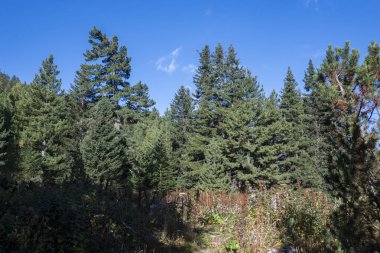 Tiha Rila (Sessiz Rila), Rila Dağı, Bulgaristan 'ın şaşırtıcı manzarası