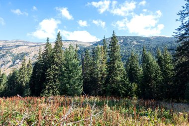 Tiha Rila (Sessiz Rila), Rila Dağı, Bulgaristan 'ın şaşırtıcı manzarası