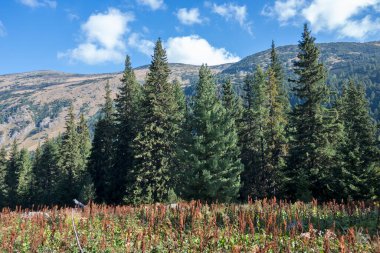 Tiha Rila (Sessiz Rila), Rila Dağı, Bulgaristan 'ın şaşırtıcı manzarası