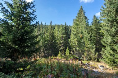 Tiha Rila (Sessiz Rila), Rila Dağı, Bulgaristan 'ın şaşırtıcı manzarası