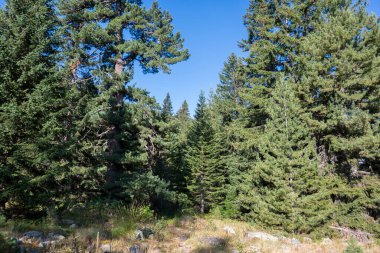 Tiha Rila (Sessiz Rila), Rila Dağı, Bulgaristan 'ın şaşırtıcı manzarası