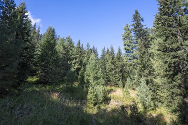 Tiha Rila (Sessiz Rila), Rila Dağı, Bulgaristan 'ın şaşırtıcı manzarası
