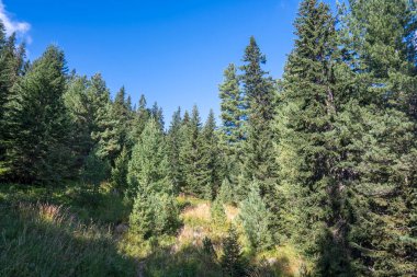 Tiha Rila (Sessiz Rila), Rila Dağı, Bulgaristan 'ın şaşırtıcı manzarası