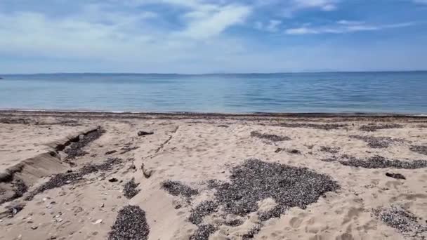 Csodálatos Kilátás Sithonia Tengerpart Közelében Kastri Beach Chalkidiki Közép Macedónia Jogdíjmentes Stock Videó