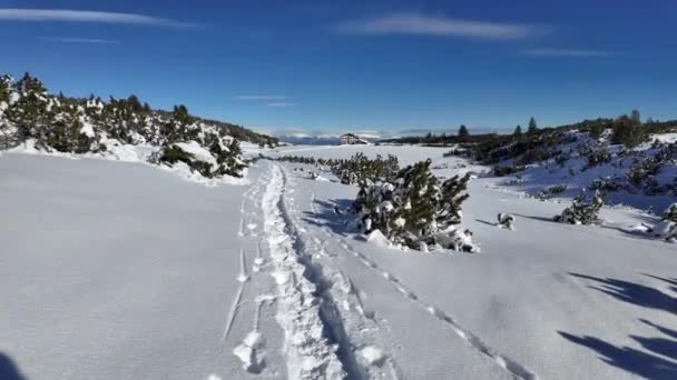 Increíble Vista Invierno Montaña Pirin Cerca Los Picos Polezhan Bezbog — Vídeos de Stock