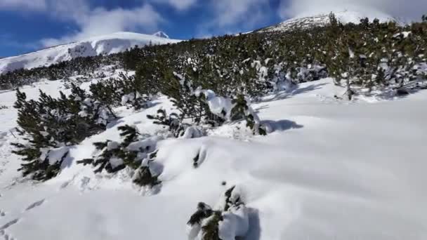 保加利亚Polezhan和Bezbog Peaks附近Pirin山冬季奇景 — 图库视频影像