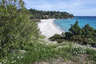 Koviou Sahili yakınlarındaki Sithonia kıyı şeridi, Chalkidiki, Orta Makedonya, Yunanistan