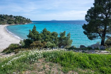 Koviou Sahili yakınlarındaki Sithonia kıyı şeridi, Chalkidiki, Orta Makedonya, Yunanistan