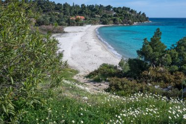 Koviou Sahili yakınlarındaki Sithonia kıyı şeridi, Chalkidiki, Orta Makedonya, Yunanistan