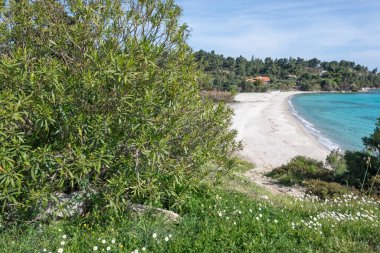 Koviou Sahili yakınlarındaki Sithonia kıyı şeridi, Chalkidiki, Orta Makedonya, Yunanistan