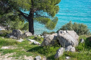 Koviou Sahili yakınlarındaki Sithonia kıyı şeridi, Chalkidiki, Orta Makedonya, Yunanistan