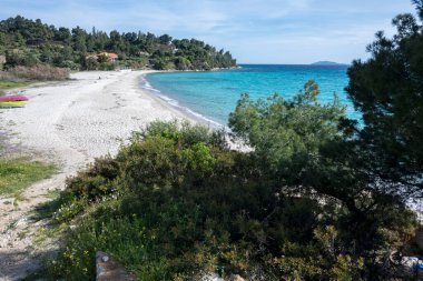 Koviou Sahili yakınlarındaki Sithonia kıyı şeridi, Chalkidiki, Orta Makedonya, Yunanistan