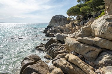 Koviou Sahili yakınlarındaki Sithonia kıyı şeridi, Chalkidiki, Orta Makedonya, Yunanistan