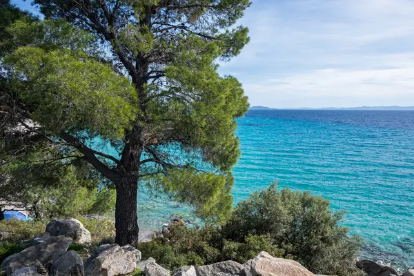 希腊中马其顿Chalkidiki的Koviou海滩附近的Sithonia海岸线美景令人惊奇 图库图片