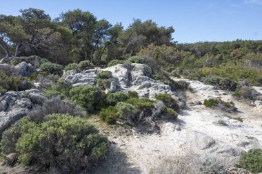 Orange Beach, Chalkidiki, Orta Makedonya ve Yunanistan yakınlarındaki Sithonia kıyı şeridinin inanılmaz manzarası
