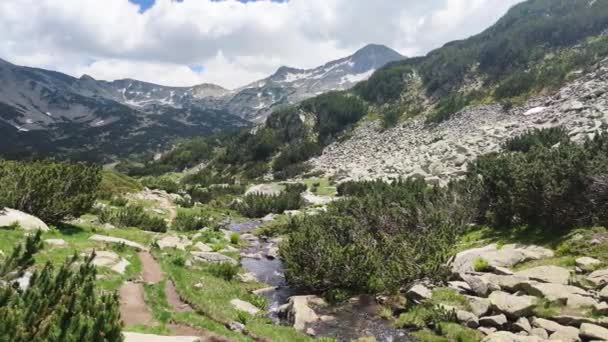 Incroyable Vue Été Montagne Pirin Autour Lac Muratovo Bulgarie — Video