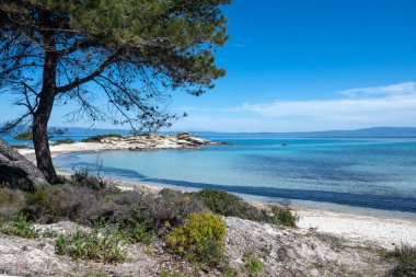 Karydi Sahili yakınlarındaki Sithonia kıyı şeridi, Chalkidiki, Orta Makedonya, Yunanistan