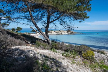 Karydi Sahili yakınlarındaki Sithonia kıyı şeridi, Chalkidiki, Orta Makedonya, Yunanistan